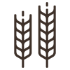 ICON-FINDER-1-2